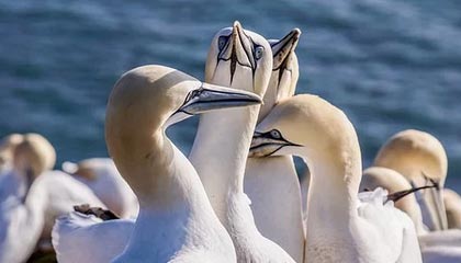 李昂：大连是我小时候就向往的地方，希望再次证明自己